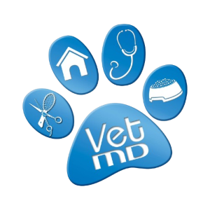 imagen-logo